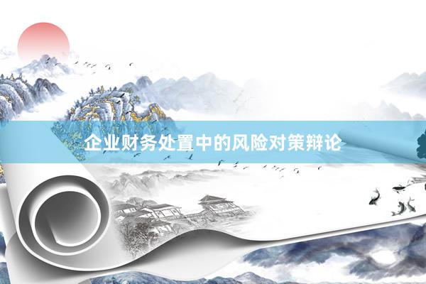 企业财务处置中的风险对策辩论