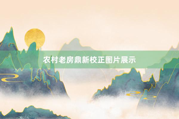 农村老房鼎新校正图片展示
